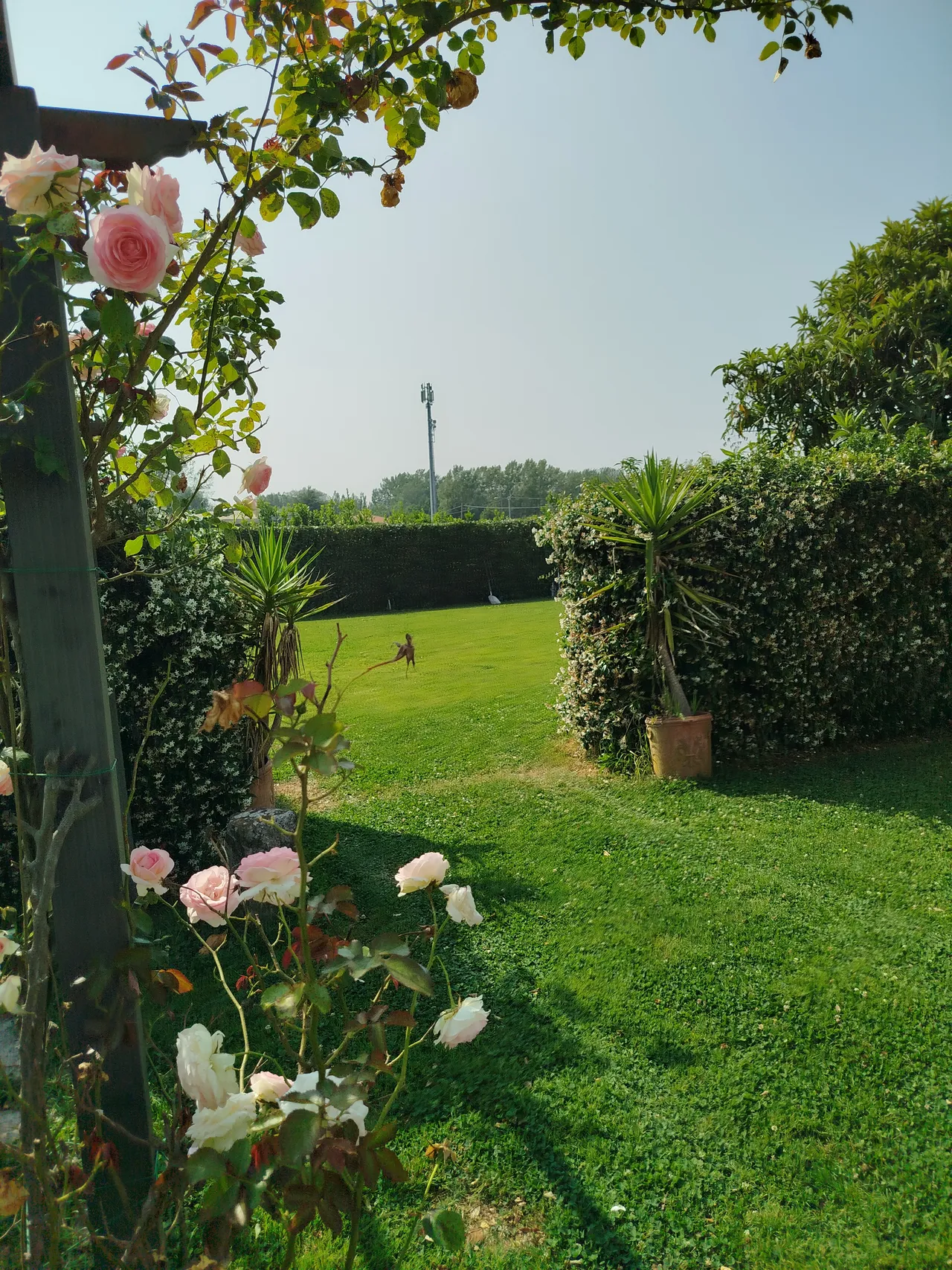 Ripristino giardino trascurato