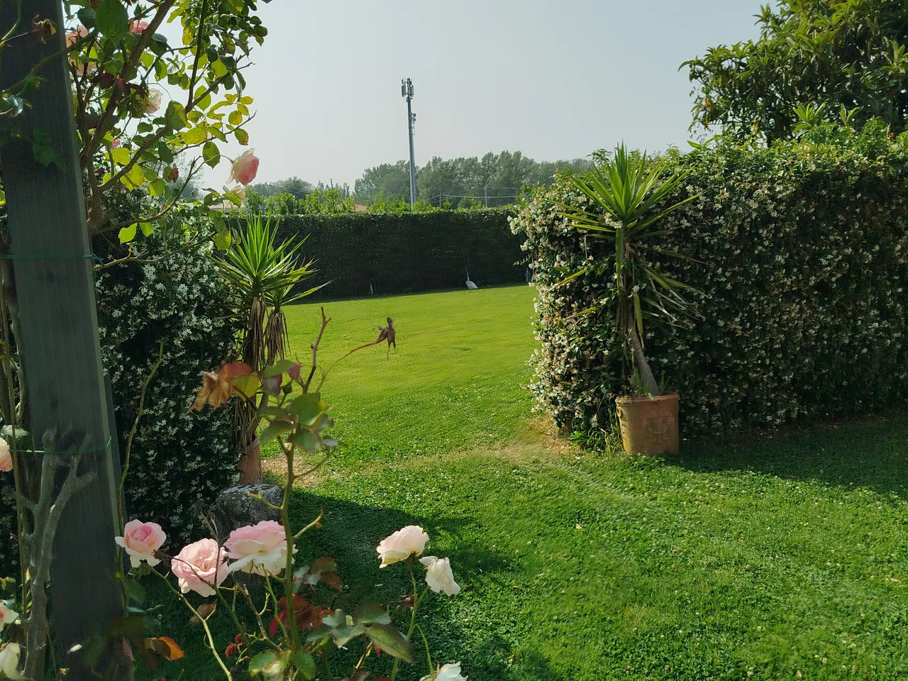 Manutenzione ordinaria e straordinaria di giardini e aree verdi